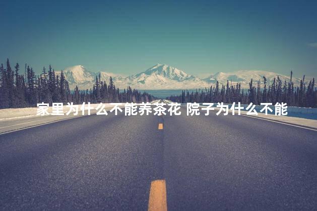 家里为什么不能养茶花 院子为什么不能栽茶花